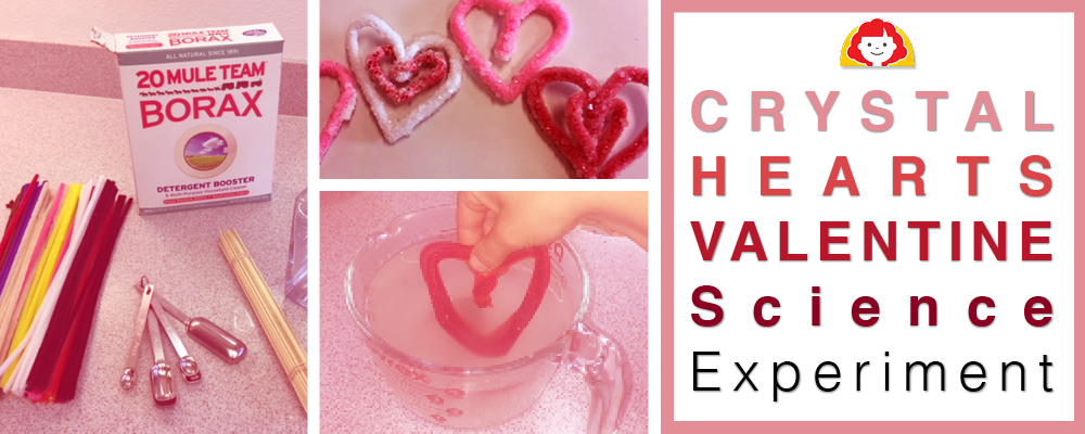 Salt Crystal Hearts – Go Science Kids